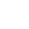 Live Brain Visualization